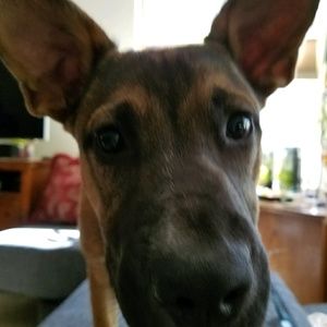 Meet your Posher, Wendy